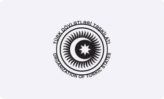 Turk Dovletleri Teshkilati