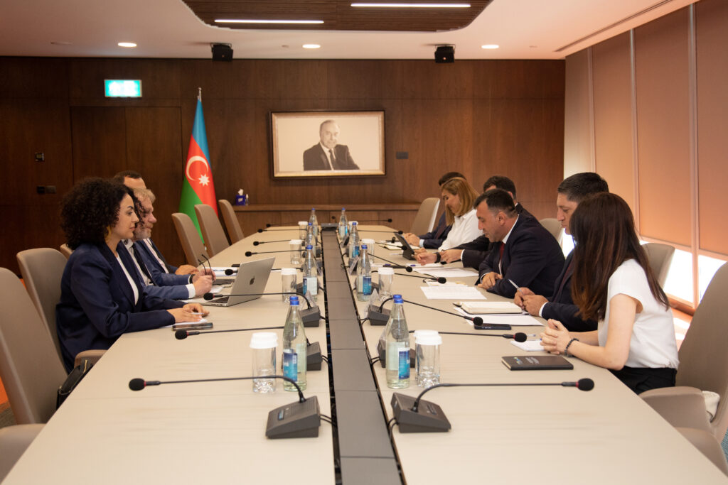 Səməd Bəşirli Dünya İqlim Fondunun icraçı direktoru ilə görüşüb